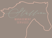 Stallion Management Services